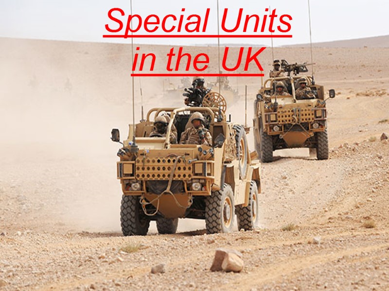 Special Units in the UK